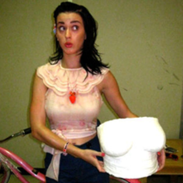 Katy Perry isi vinde sanii