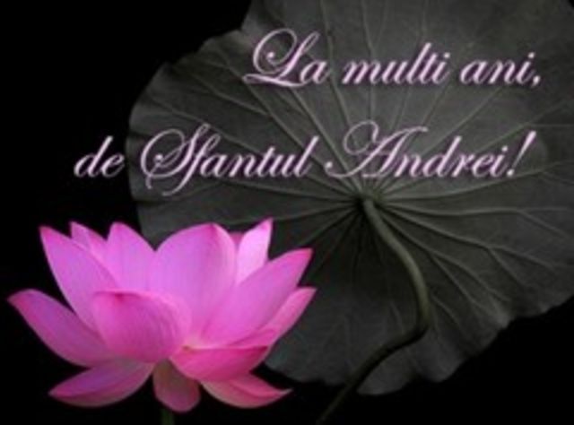La Multi Ani Andreea Si Andrei