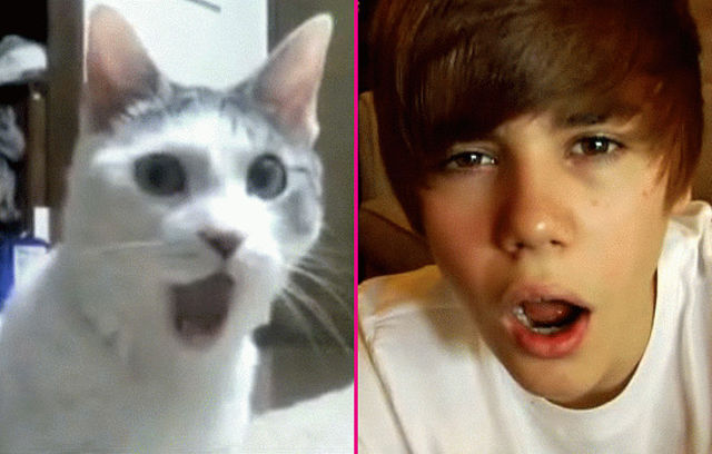 Bieber si pisica