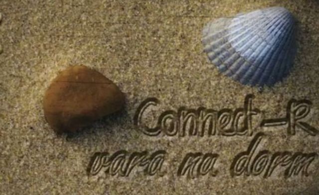 Cititorii Bestmusic.ro au decis: Connect-R - Vara nu dorm este hitul verii 2012!