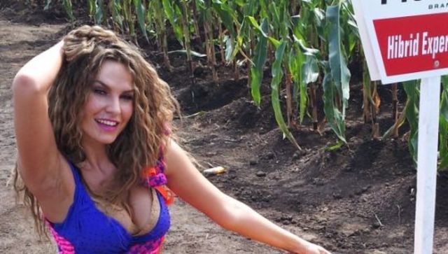 Anna Lesko - o diva sexy in lanul de porumb (foto)