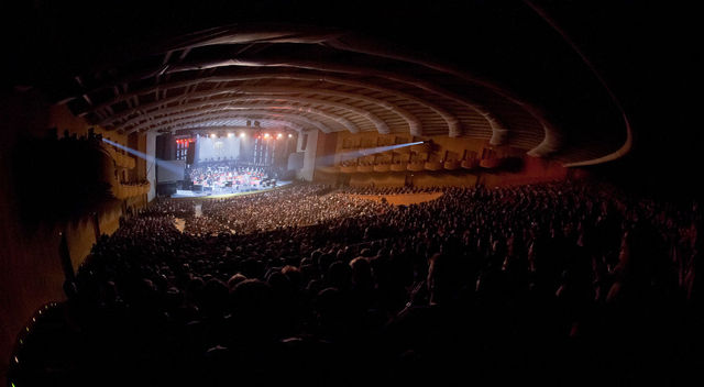 Poze concert Havasi
