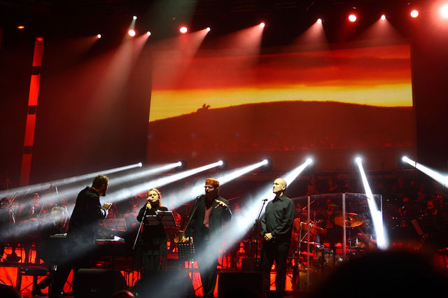 Poze concert Havasi