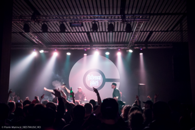 Poze concert Delinquent Habits la Colectiv