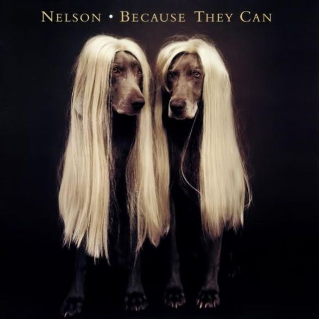 Nelson - Because They Can