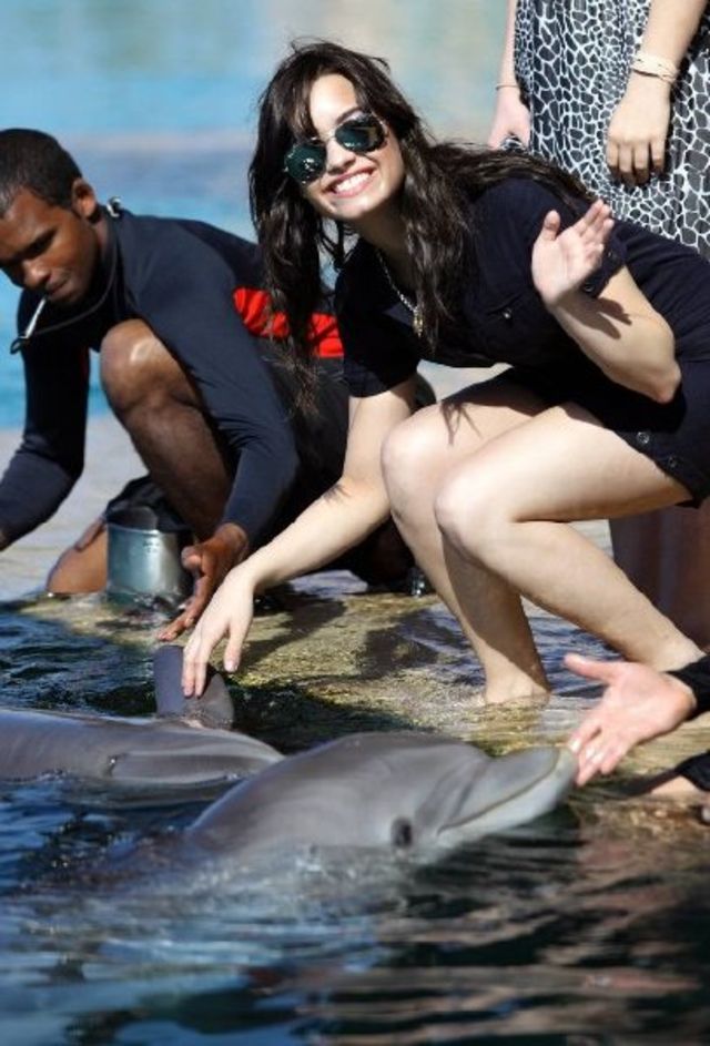 demi lovato, cu delfini si foci in Bahamas