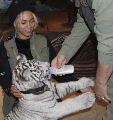 Beyonce si familia sa in 21 de poze