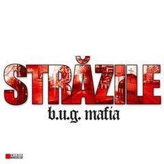 Click pentru a mari poza