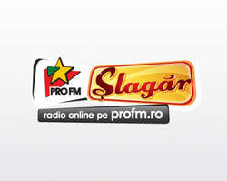 ProFM Slagar