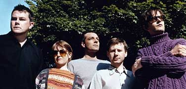 Pulp