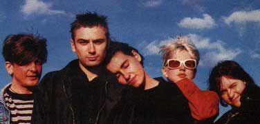 Elastica