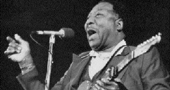 Muddy Waters