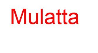 Mulatta