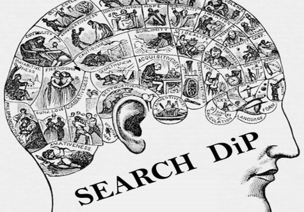 Search DiP